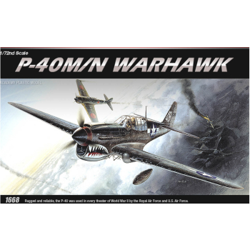 P-40 M/N WARHAWK